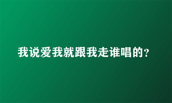 我说爱我就跟我走谁唱的？
