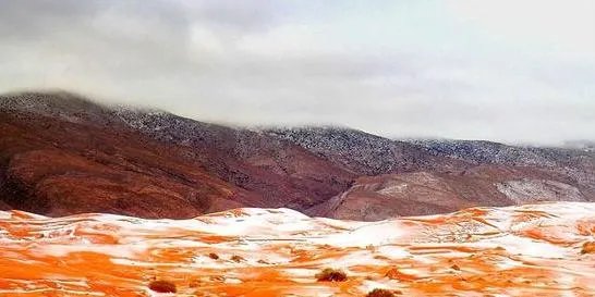 撒哈拉沙漠近日近40年一遇的大雪说明什么?