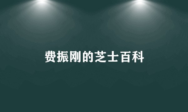 费振刚的芝士百科