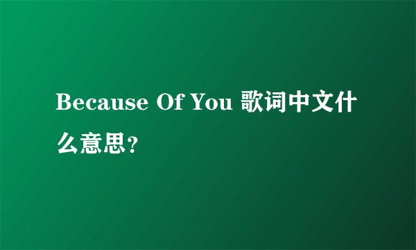 Because Of You 歌词中文什么意思？