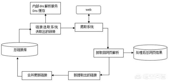 新手如何学SEO?
