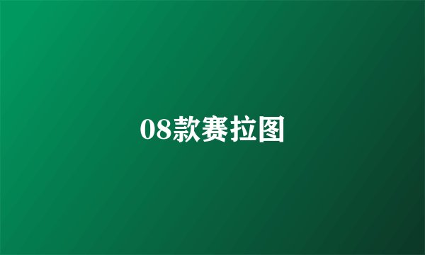 08款赛拉图