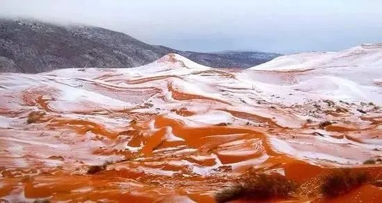 撒哈拉沙漠近日近40年一遇的大雪说明什么?
