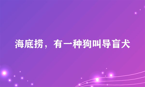 海底捞,有一种狗叫导盲犬