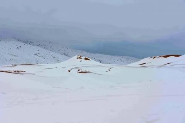 撒哈拉沙漠近日近40年一遇的大雪说明什么?