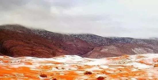 撒哈拉沙漠近日近40年一遇的大雪说明什么？