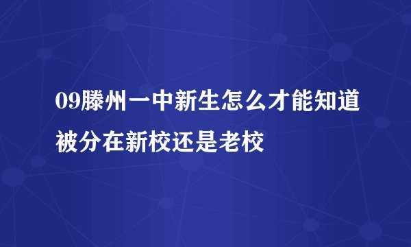 09滕州一中新生怎么才能知道被分在新校还是老校