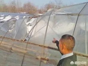 如何看待2018年的第一场暴雪,将安徽一农民的大棚压垮,损失200多万元?