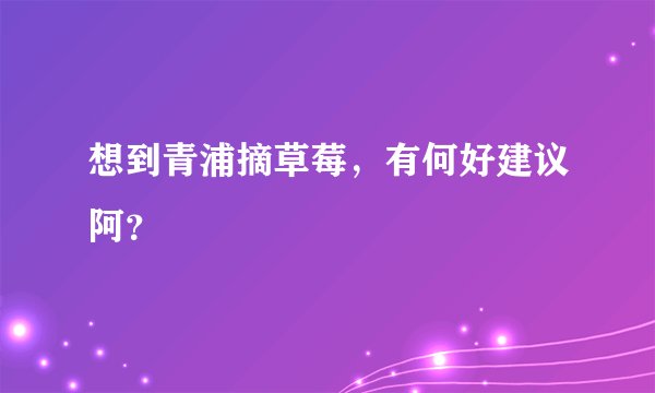 想到青浦摘草莓，有何好建议阿？