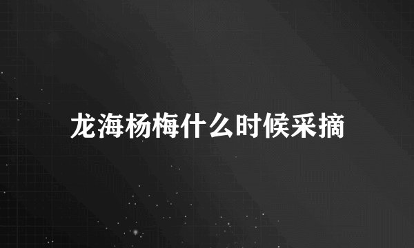 龙海杨梅什么时候采摘