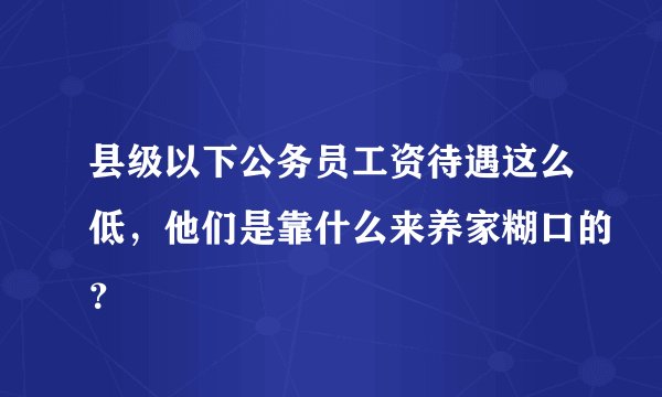 县级以下公务员工资待遇这么低，他们是靠什么来养家糊口的？