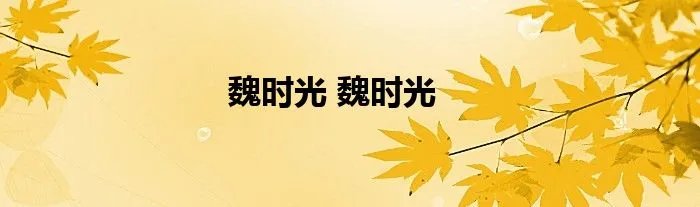 魏时光 魏时光