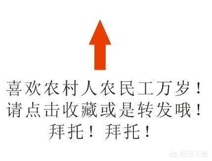 如何看待2018年的第一场暴雪,将安徽一农民的大棚压垮,损失200多万元?