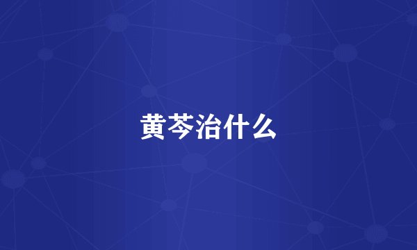 黄芩治什么
