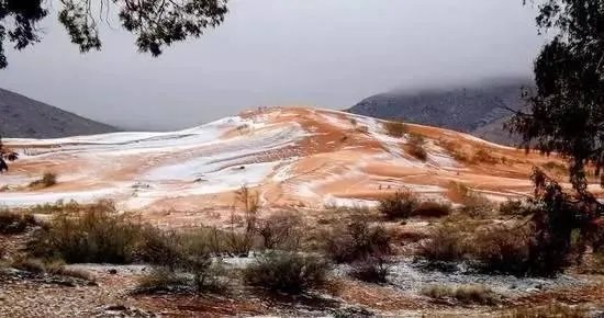 撒哈拉沙漠近日近40年一遇的大雪说明什么?