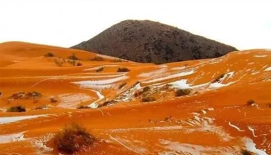撒哈拉沙漠近日近40年一遇的大雪说明什么?