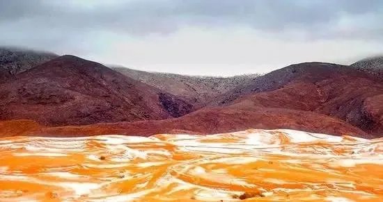 撒哈拉沙漠近日近40年一遇的大雪说明什么?