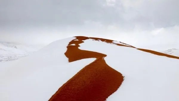 撒哈拉沙漠近日近40年一遇的大雪说明什么?