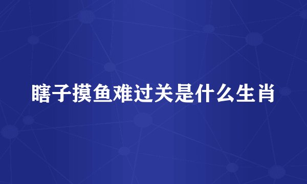 瞎子摸鱼难过关是什么生肖