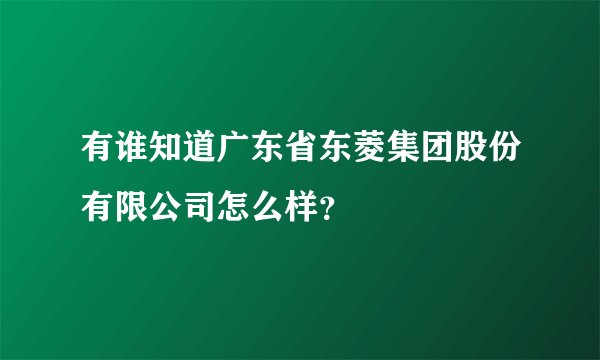 有谁知道广东省东菱集团股份有限公司怎么样？
