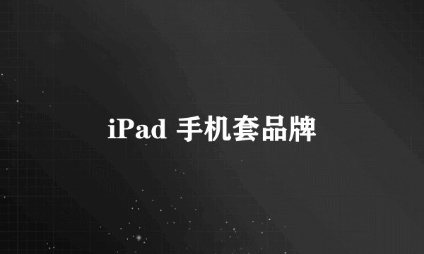 iPad 手机套品牌