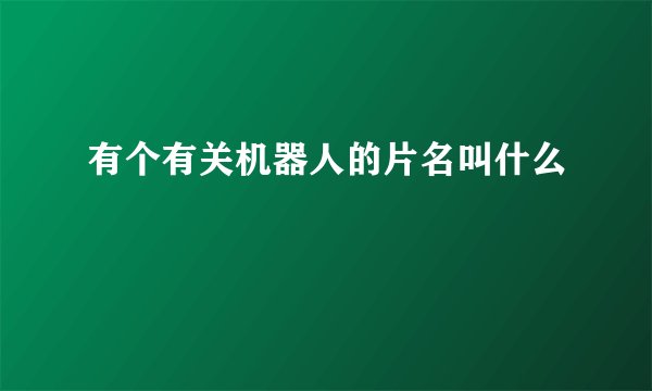 有个有关机器人的片名叫什么