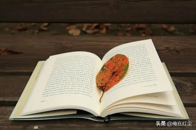 40岁从头再来,每天话费5个小时读书学习,算不算浪费时间?