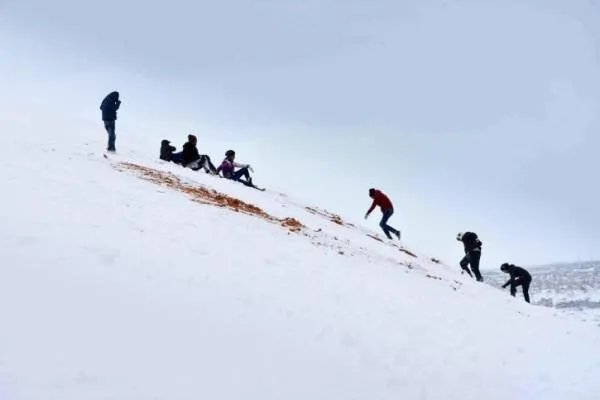 撒哈拉沙漠近日近40年一遇的大雪说明什么?