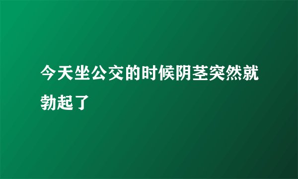 今天坐公交的时候阴茎突然就勃起了