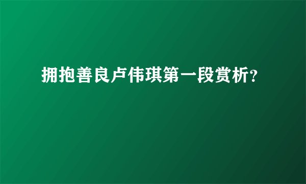 拥抱善良卢伟琪第一段赏析？