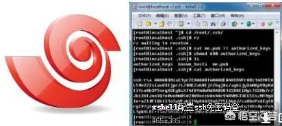 学习JAVA会用到哪些日常软件?