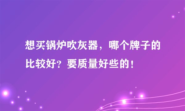 想买锅炉吹灰器，哪个牌子的比较好？要质量好些的！