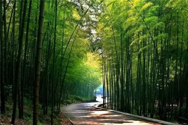 惠州旅游景点排名前十分别是哪里?