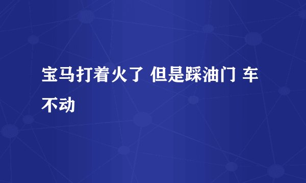 宝马打着火了 但是踩油门 车不动