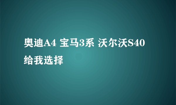 奥迪A4 宝马3系 沃尔沃S40 给我选择