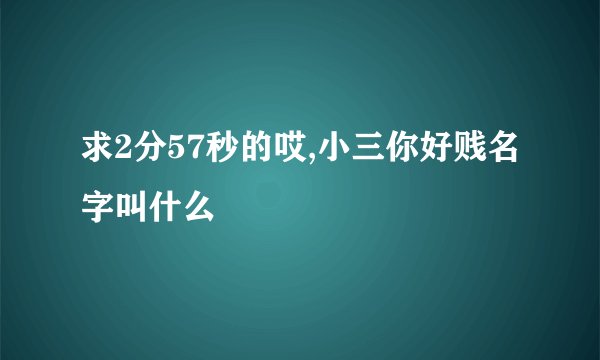 求2分57秒的哎,小三你好贱名字叫什么