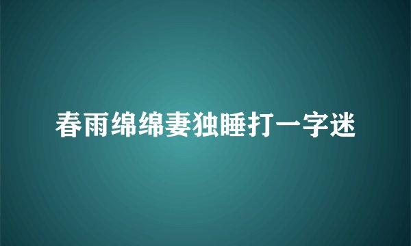 春雨绵绵妻独睡打一字迷