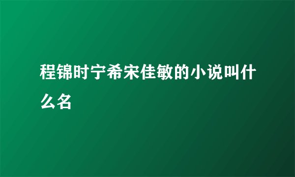 程锦时宁希宋佳敏的小说叫什么名