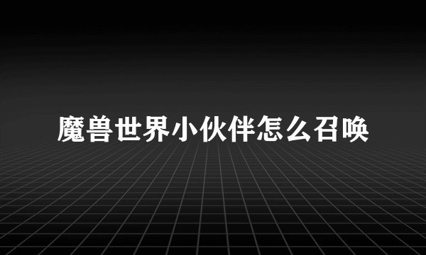 魔兽世界小伙伴怎么召唤