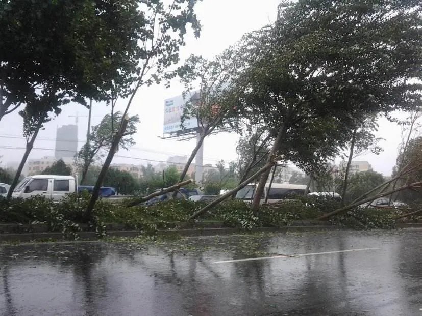 13号台风鲸鱼生成,将经过哪些地区?