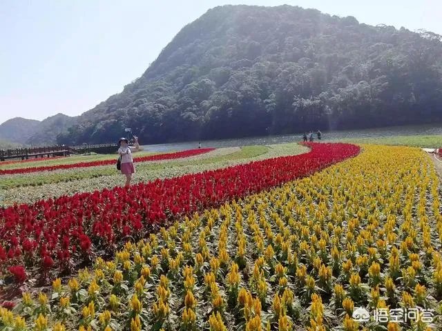 广东省从化市石门国家森林公园好玩吗?从广州市区怎么去?
