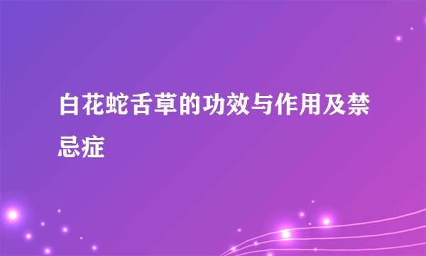 白花蛇舌草的功效与作用及禁忌症
