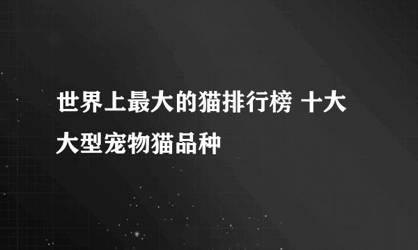 世界上最大的猫排行榜 十大大型宠物猫品种
