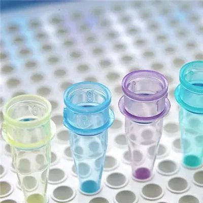 同房后几天能测出怀孕?