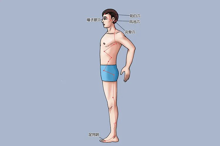 膝盖周围的经络图