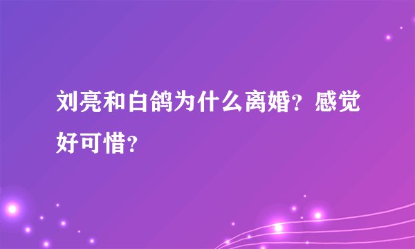 刘亮和白鸽为什么离婚?感觉好可惜?