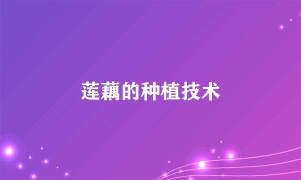 莲藕的种植技术