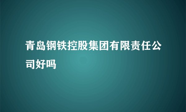 青岛钢铁控股集团有限责任公司好吗