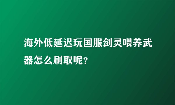 海外低延迟玩国服剑灵喂养武器怎么刷取呢？