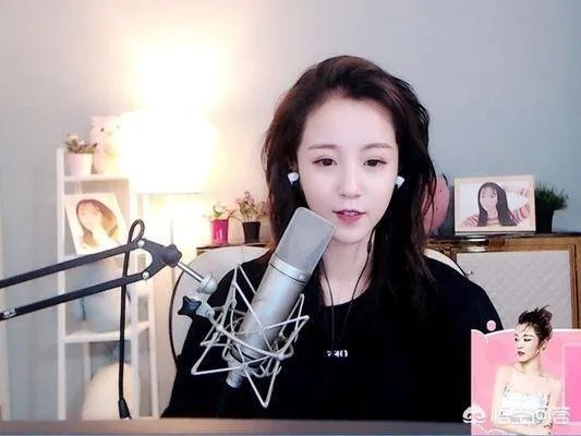 莉哥侮辱国歌被处罚这件事你怎么看?